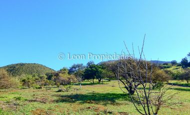 Leon Propiedades vende o arrienda con compromiso de compraventa hermosa casa en condominio, Curacaví.