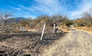 TERRENO EN VENTA, PARA INVERSIÓN, YAUTEPEC, MOR.