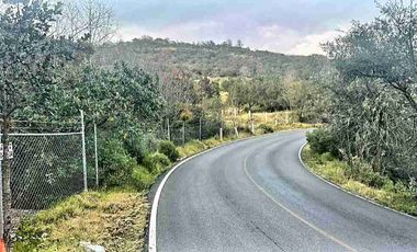 Real del Monte, 160 has Bosque, Escritura.
