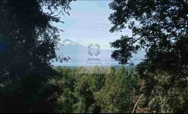 PARCELAS CON BOSQUE NATIVO, ALGUNAS CON VISTA AL VOLCÁN VILLARRICA