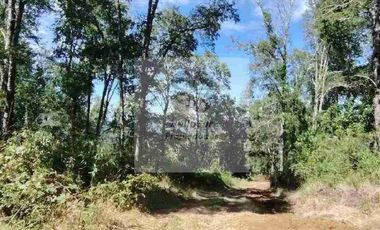 PARCELAS CON BOSQUE NATIVO, ALGUNAS CON VISTA AL VOLCÁN VILLARRICA