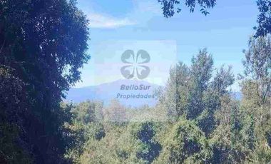 PARCELAS CON BOSQUE NATIVO, ALGUNAS CON VISTA AL VOLCÁN VILLARRICA