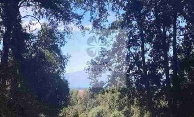 PARCELAS CON BOSQUE NATIVO, ALGUNAS CON VISTA AL VOLCÁN VILLARRICA