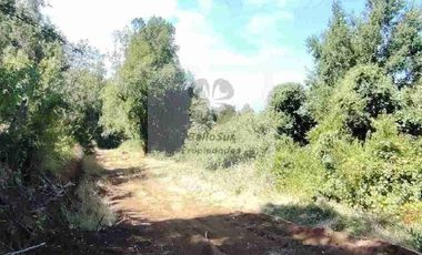 PARCELAS CON BOSQUE NATIVO, ALGUNAS CON VISTA AL VOLCÁN VILLARRICA