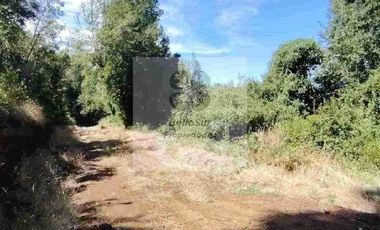 PARCELAS CON BOSQUE NATIVO, ALGUNAS CON VISTA AL VOLCÁN VILLARRICA