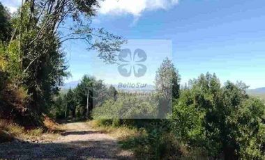 PARCELAS CON BOSQUE NATIVO, ALGUNAS CON VISTA AL VOLCÁN VILLARRICA