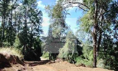 PARCELAS CON BOSQUE NATIVO, ALGUNAS CON VISTA AL VOLCÁN VILLARRICA