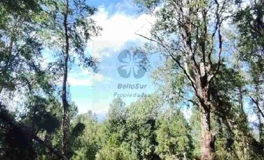 PARCELAS CON BOSQUE NATIVO, ALGUNAS CON VISTA AL VOLCÁN VILLARRICA