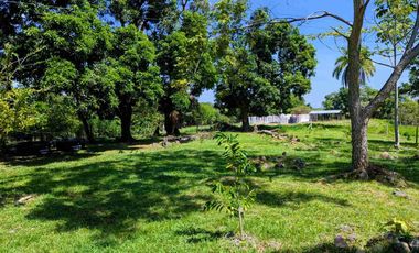 Finca Lechera en Venta 33 Hectáreas