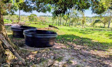 Finca Lechera en Venta 33 Hectáreas