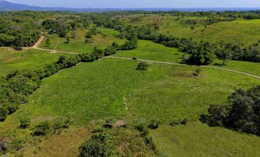 Finca Lechera en Venta 33 Hectáreas