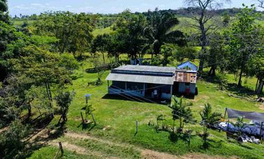 Finca Lechera en Venta 33 Hectáreas