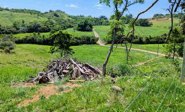 Finca Lechera en Venta 33 Hectáreas