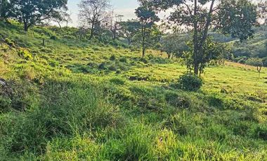 Finca Lechera en Venta 33 Hectáreas