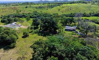 Finca Lechera en Venta 33 Hectáreas