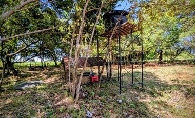 Finca Lechera en Venta 33 Hectáreas