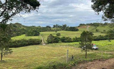 Finca Lechera en Venta 33 Hectáreas
