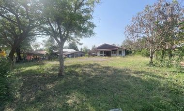 J42977 ขายบ้านเดี่ยว ตำบล พระธาตุบังพวน อำเภอเมืองหนองคาย หนองคาย