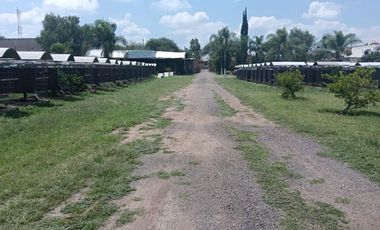 TERRENO EN RENTA EN COL EL CARRIZO, SJR, QRO VT60