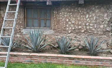 TERRENO EN RENTA EN COL EL CARRIZO, SJR, QRO VT60
