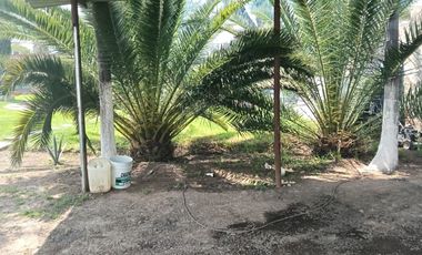 TERRENO EN RENTA EN COL EL CARRIZO, SJR, QRO VT60