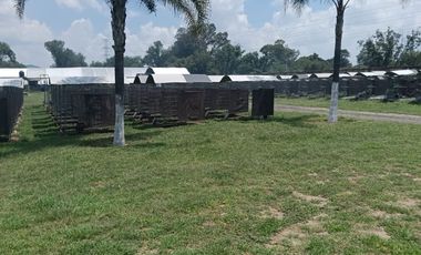 TERRENO EN RENTA EN COL EL CARRIZO, SJR, QRO VT60