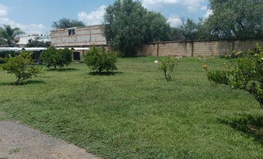 TERRENO EN RENTA EN COL EL CARRIZO, SJR, QRO VT60