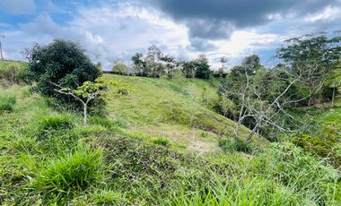 Vendo o permuto Lote con escritura propia e Independiente en Pereira