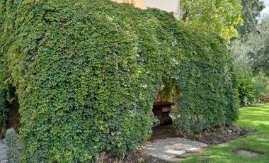 CASA EN RENTA CON JARDIN ZAVALETA FORJADORES