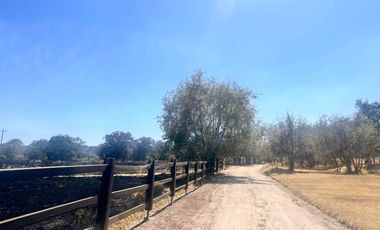 ! VENTA DE RANCHETE EN LA PERENIA HUAMANTLA ¡
