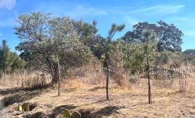 ! VENTA DE RANCHETE EN LA PERENIA HUAMANTLA ¡