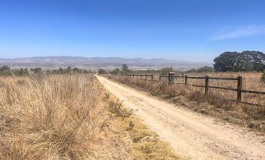 ! VENTA DE RANCHETE EN LA PERENIA HUAMANTLA ¡