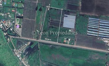 Leon Propiedades vende proyecto de 4 hectáreas en sector El Ajial, Curacaví.