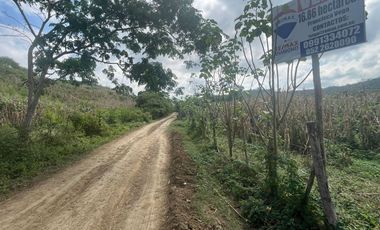 Finca De Venta En Lodana Santa Ana Manabí