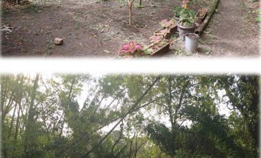 Venta Reserva Natural en Manta Bosque Pacoche