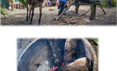 Venta Reserva Natural en Manta Bosque Pacoche