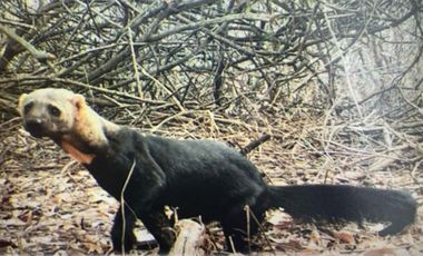 Venta Reserva Natural en Manta Bosque Pacoche