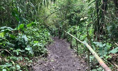 Venta Reserva Natural en Manta Bosque Pacoche