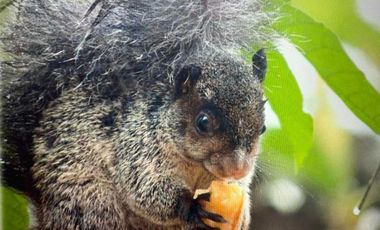 Venta Reserva Natural en Manta Bosque Pacoche