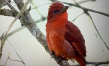 Venta Reserva Natural en Manta Bosque Pacoche