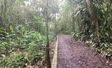 Venta Reserva Natural en Manta Bosque Pacoche