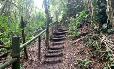 Venta Reserva Natural en Manta Bosque Pacoche