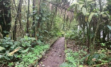Venta Reserva Natural en Manta Bosque Pacoche