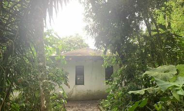 Venta Reserva Natural en Manta Bosque Pacoche