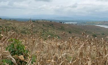 Finca de Venta en San Vicente Manabi