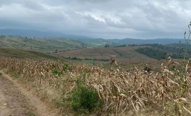 Finca de Venta en San Vicente Manabi