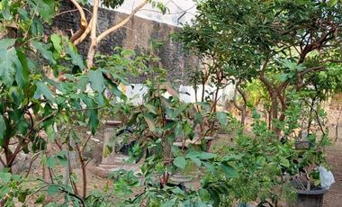 🏡 DIJUAL TANAH + BANGUNAN STRATEGIS — DEMANGAN, YOGYAKARTA