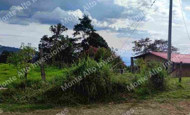 “TIERRA QUE PRODUCE, INVERSIÓN QUE CRECE” 20 mil metros dividido en potreros😊