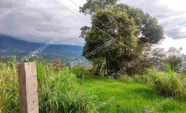 “TIERRA QUE PRODUCE, INVERSIÓN QUE CRECE” 20 mil metros dividido en potreros😊