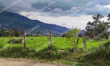 “TIERRA QUE PRODUCE, INVERSIÓN QUE CRECE” 20 mil metros dividido en potreros😊